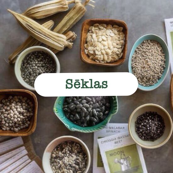 Sēklas