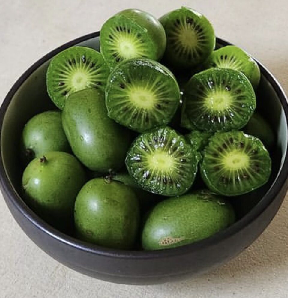 Ayolning mushukining tami qanday?