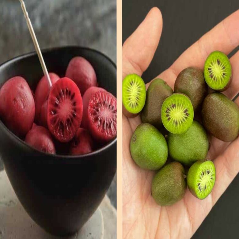 Kivi ogu komplekts - 2 stādi