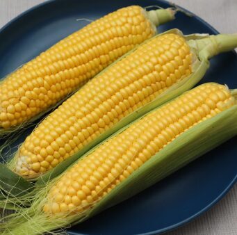 Cukurkukurūza “Imperial Sweet''