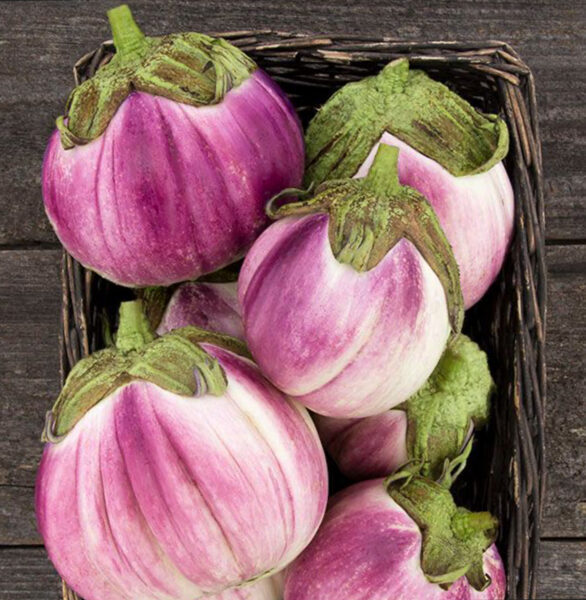 Baklažāni “Bianca Stumfata di Rosa”