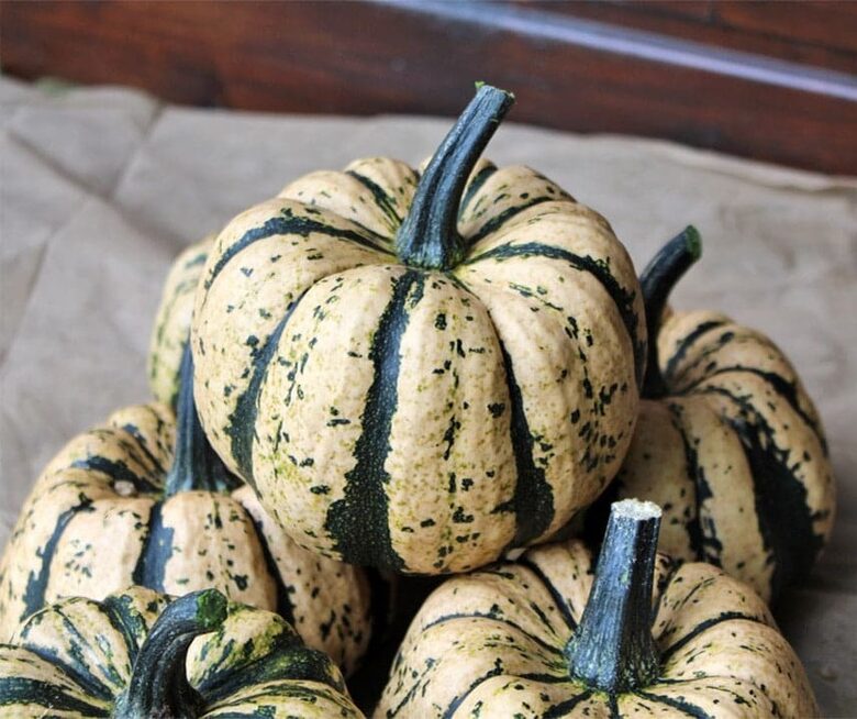 Ķirbis 'Brūnais Cukurs'