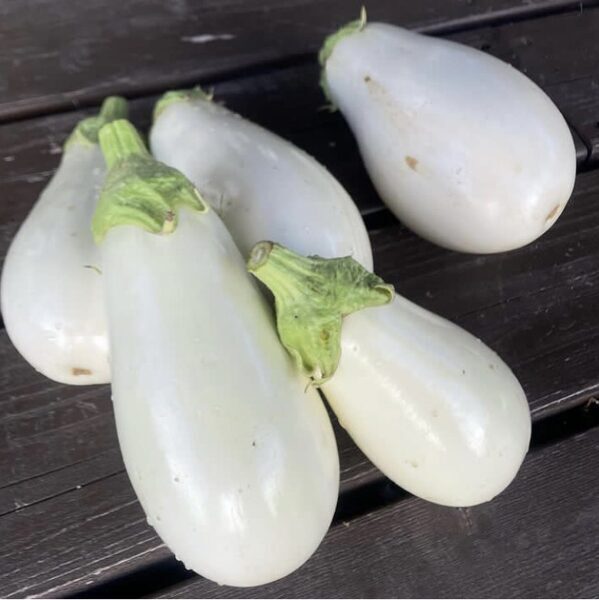 Baklažāni “Halflong White”