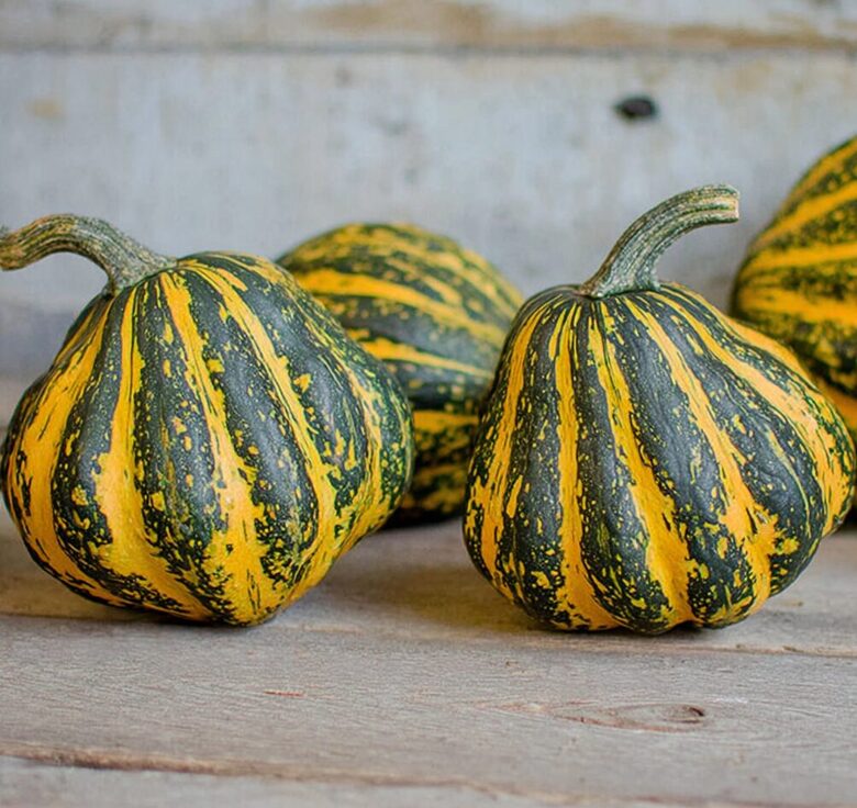 Zīļu ķirbis 'Starry Night F1'