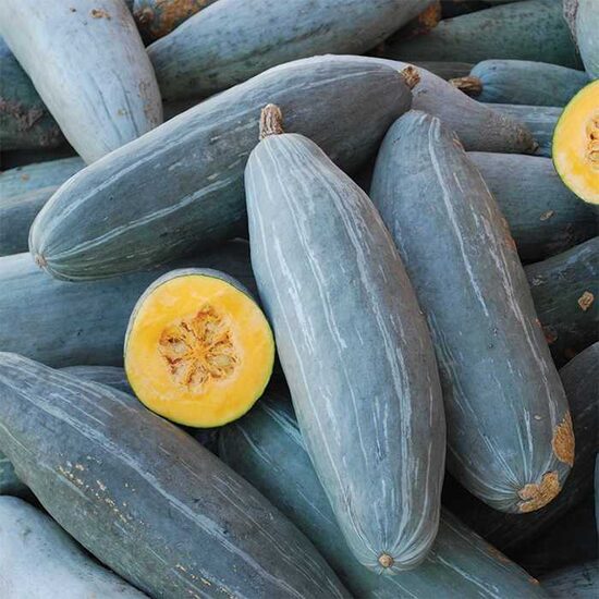 Ķirbis 'Zilais Banāns'