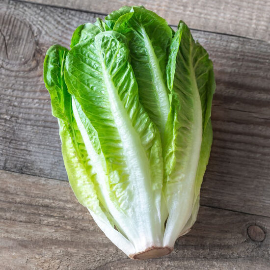 Romiešu salāti 'Paris Island Cos'