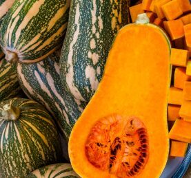 Sviesta ķirbis 'Barbara F1'