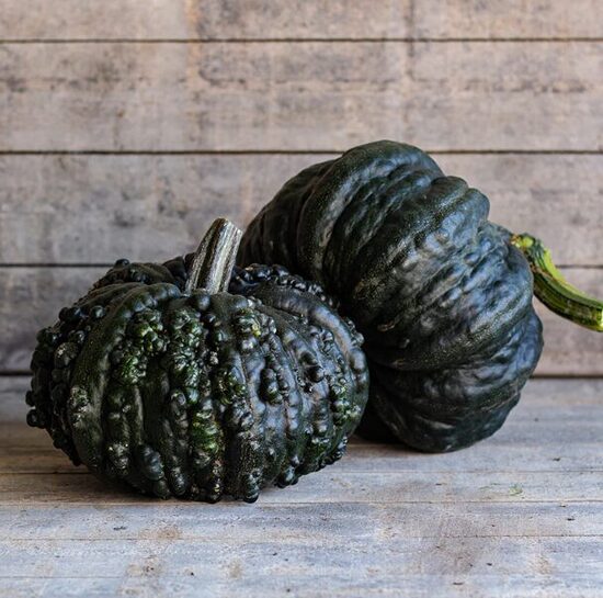 Melno ķirbju sēklas