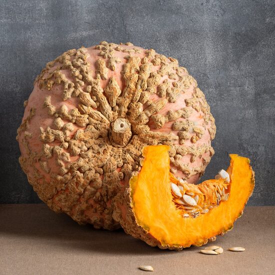 Ķirbis 'Galeux d'eysines'