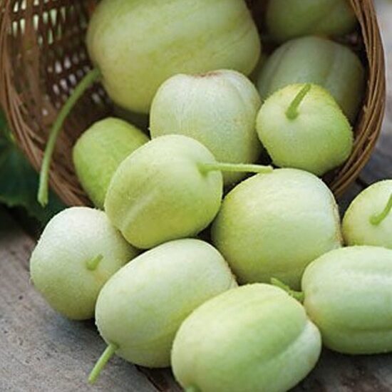 Gurķi 'Crystal Apple'