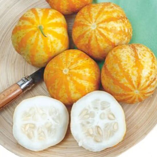 Citrongurķi