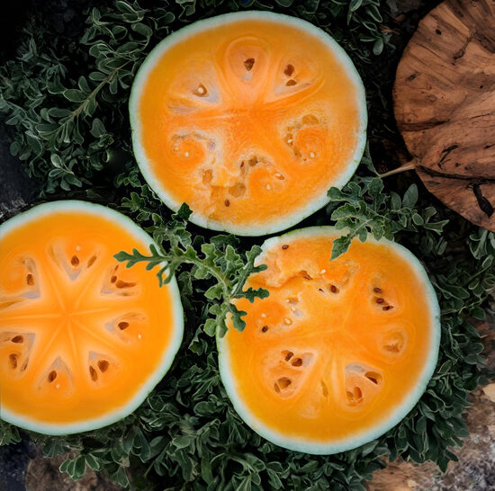 Arbūzs 'Primaorange F1' (pieejams no jūnija)