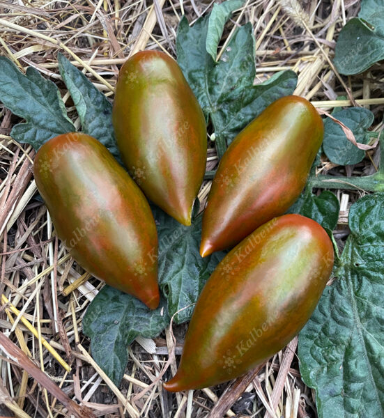 Tomāti “Emalia”