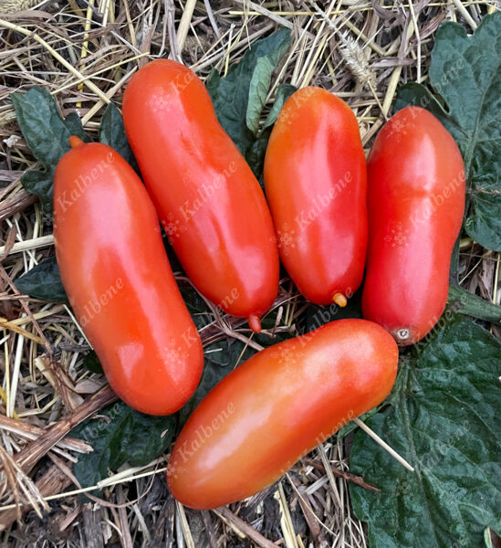 Tomāti “Desiņas”