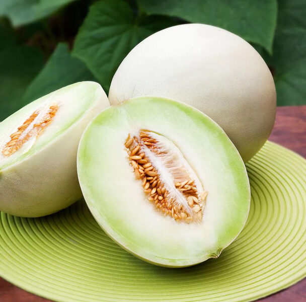 Cukurmelone “Honeydew”