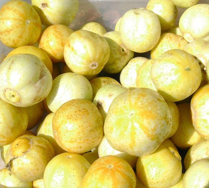 Citrongurķi